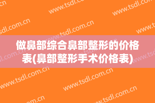 做鼻部综合鼻部整形的价格表(鼻部整形手术价格表)