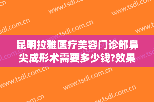 昆明拉雅医疗美容门诊部鼻尖成形术需要多少钱?效果怎么样?(昆明手术隆鼻多少钱)