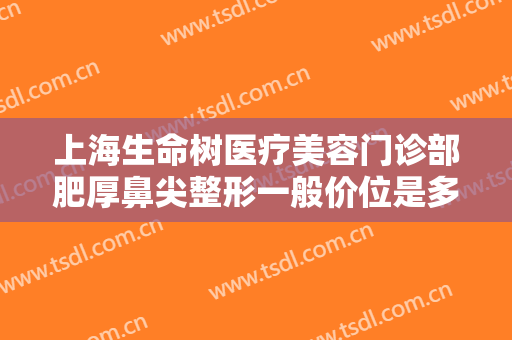 上海生命树医疗美容门诊部肥厚鼻尖整形一般价位是多少费用?好不好?
