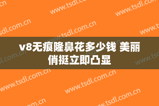 v8无痕隆鼻花多少钱 美丽俏挺立即凸显