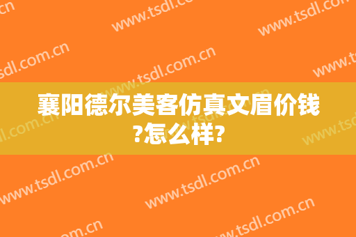 襄阳德尔美客仿真文眉价钱?怎么样?