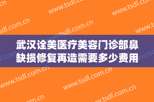 武汉诠美医疗美容门诊部鼻缺损修复再造需要多少费用?有哪些优势?(武汉诠美整形医院怎么样)