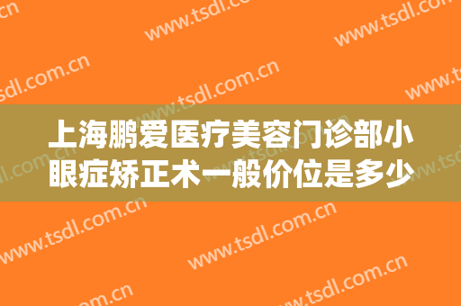 上海鹏爱医疗美容门诊部小眼症矫正术一般价位是多少费用?贵不贵?(上海鹏爱医院整形)