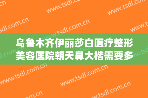 乌鲁木齐伊丽莎白医疗整形美容医院朝天鼻大楷需要多少钱?靠谱吗?(乌鲁木齐伊丽莎白整形医院价格表)