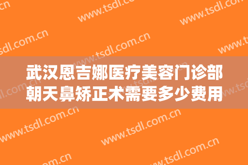 武汉恩吉娜医疗美容门诊部朝天鼻矫正术需要多少费用?效果怎么样?(武汉恩吉娜隆鼻怎么样)