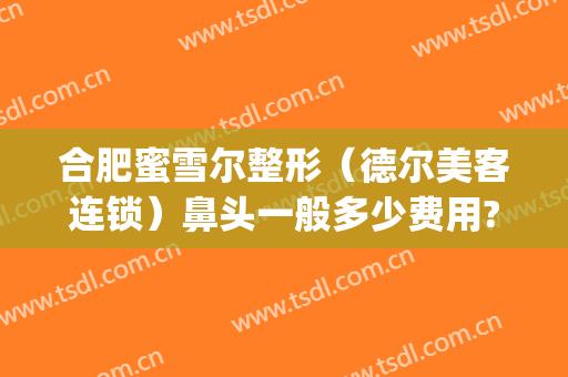 合肥蜜雪尔整形（德尔美客连锁）鼻头一般多少费用?靠谱吗?(冰箱两边有点鼓正常吗)