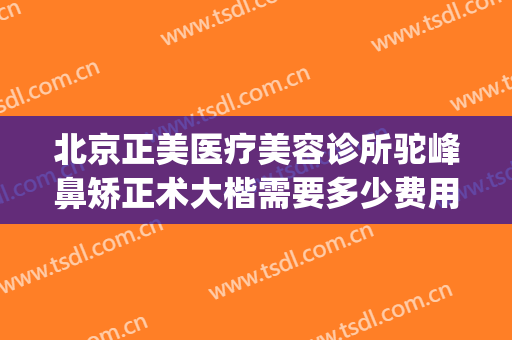 北京正美医疗美容诊所驼峰鼻矫正术大楷需要多少费用?怎么样?(北京鼻梁骨歪了矫正要多少钱)