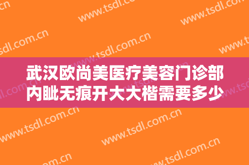 武汉欧尚美医疗美容门诊部内眦无痕开大大楷需要多少钱?多长时间恢复?