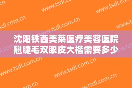 沈阳铁西美莱医疗美容医院翘睫毛双眼皮大楷需要多少钱?有哪些优势?