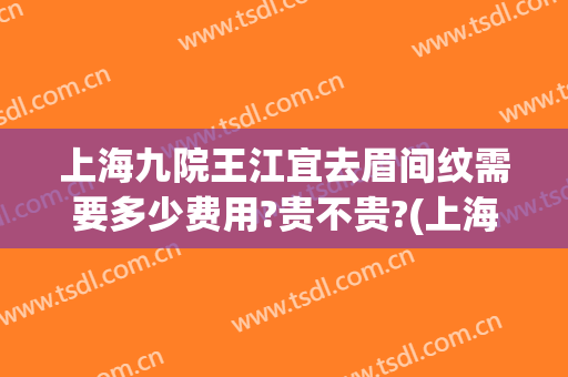 上海九院王江宜去眉间纹需要多少费用?贵不贵?(上海九院纹眉多少钱)