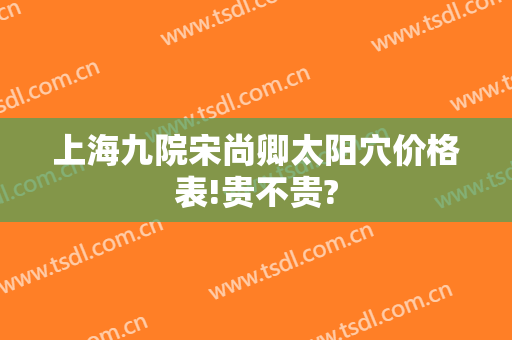 上海九院宋尚卿太阳穴价格表!贵不贵?