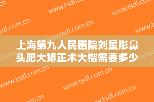 上海第九人民医院刘星彤鼻头肥大矫正术大楷需要多少费用?需要多久恢复?