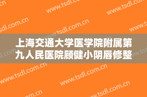 上海交通大学医学院附属第九人民医院顾健小阴唇修整大楷需要多少费用?贵不贵?