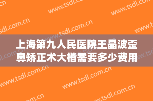 上海第九人民医院王晶波歪鼻矫正术大楷需要多少费用?怎么样?(上海九院歪鼻矫正价格)