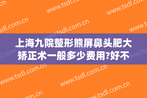 上海九院整形熊屏鼻头肥大矫正术一般多少费用?好不好?(上海九院整形鼻子多少钱)