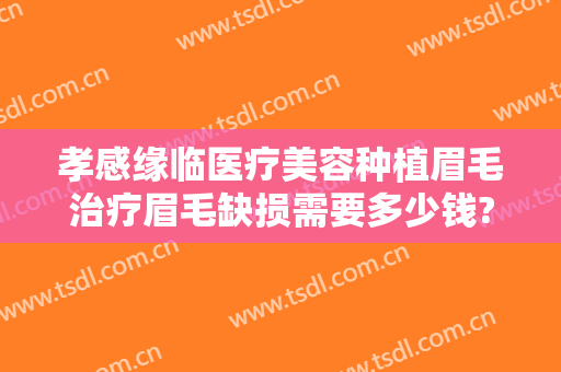 孝感缘临医疗美容种植眉毛治疗眉毛缺损需要多少钱?需要多久恢复?