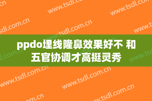 ppdo埋线隆鼻效果好不 和五官协调才高挺灵秀