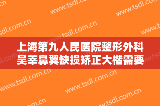 上海第九人民医院整形外科吴莘鼻翼缺损矫正大楷需要多少钱?好不好?