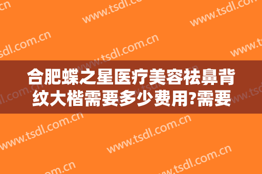 合肥蝶之星医疗美容祛鼻背纹大楷需要多少费用?需要多久恢复?