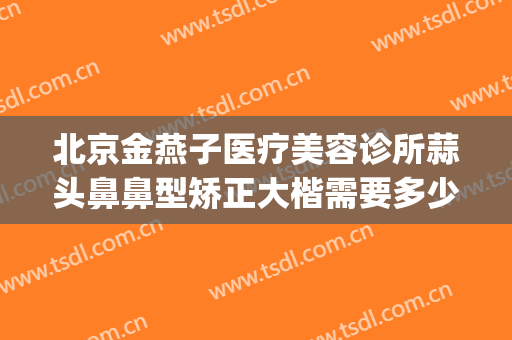 北京金燕子医疗美容诊所蒜头鼻鼻型矫正大楷需要多少费用?靠谱吗?(北京金燕子医疗美容口碑好吗)