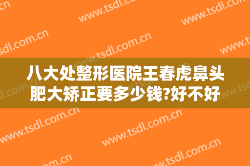 八大处整形医院王春虎鼻头肥大矫正要多少钱?好不好?