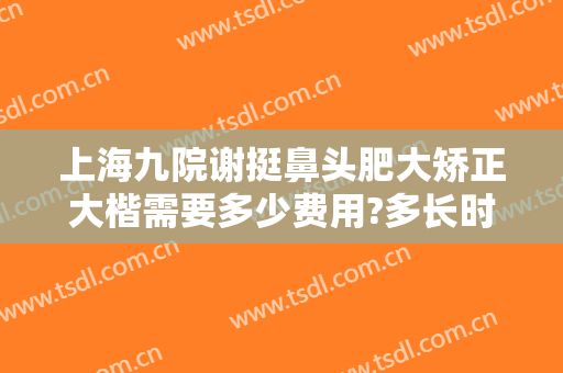 上海九院谢挺鼻头肥大矫正大楷需要多少费用?多长时间恢复?