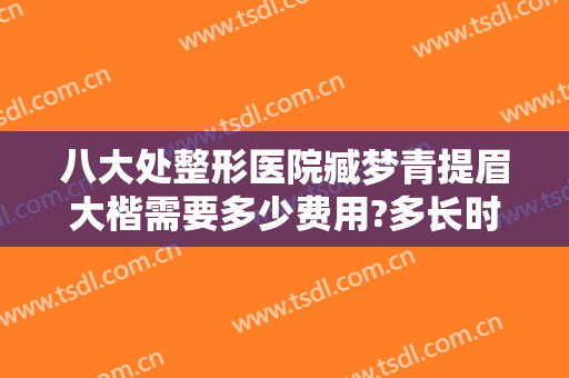 八大处整形医院臧梦青提眉大楷需要多少费用?多长时间恢复?