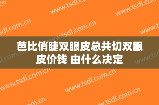 芭比俏睫双眼皮总共切双眼皮价钱 由什么决定