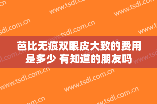 芭比无痕双眼皮大致的费用是多少 有知道的朋友吗