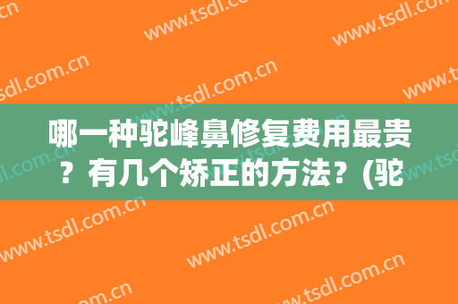 哪一种驼峰鼻修复费用最贵？有几个矫正的方法？(驼峰鼻矫正手术风险大吗)