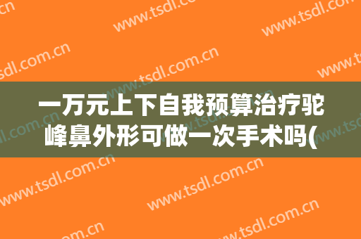 一万元上下自我预算治疗驼峰鼻外形可做一次手术吗(驼峰鼻除了手术有别的法子吗)