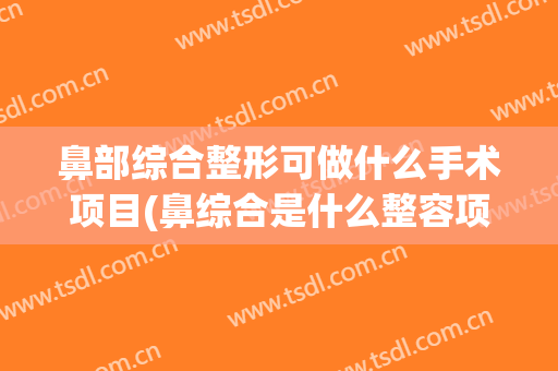 鼻部综合整形可做什么手术项目(鼻综合是什么整容项目)