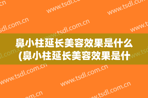 鼻小柱延长美容效果是什么(鼻小柱延长美容效果是什么样的)