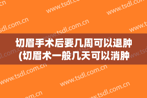 切眉手术后要几周可以退肿(切眉术一般几天可以消肿)