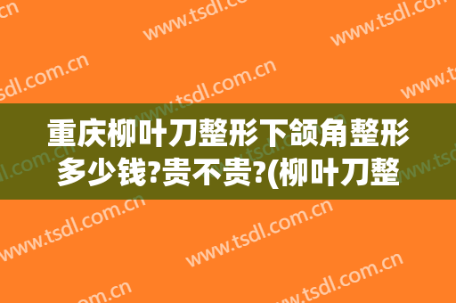 重庆柳叶刀整形下颌角整形多少钱?贵不贵?(柳叶刀整形·美容怎么样)