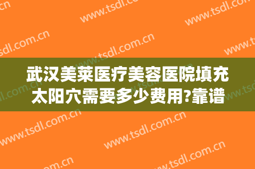 武汉美莱医疗美容医院填充太阳穴需要多少费用?靠谱吗?(正规医院脂肪填充多少钱)
