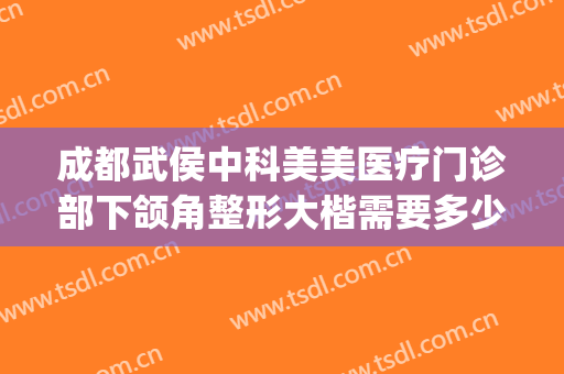 成都武侯中科美美医疗门诊部下颌角整形大楷需要多少钱?可靠吗?(武侯区的医美医院)