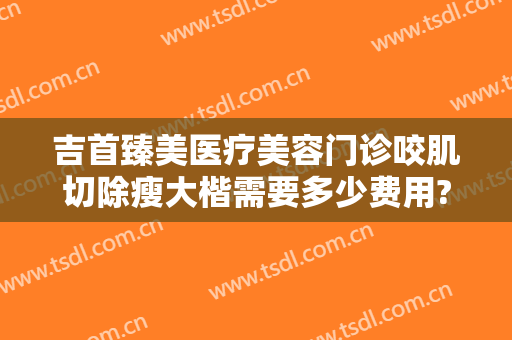 吉首臻美医疗美容门诊咬肌切除瘦大楷需要多少费用?靠谱吗?