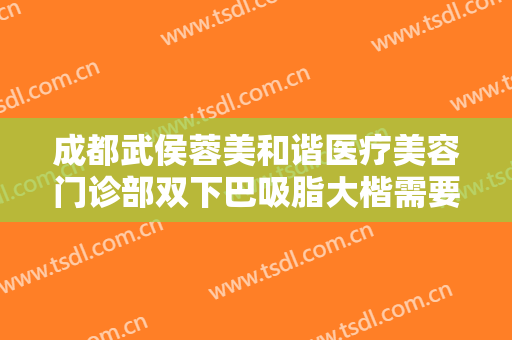 成都武侯蓉美和谐医疗美容门诊部双下巴吸脂大楷需要多少费用?怎么样?