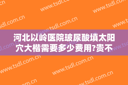 河北以岭医院玻尿酸填太阳穴大楷需要多少费用?贵不贵?
