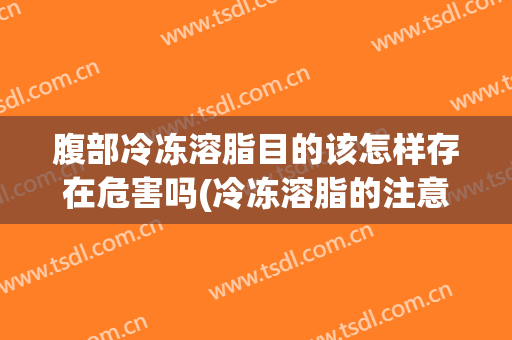 腹部冷冻溶脂目的该怎样存在危害吗(冷冻溶脂的注意事项)