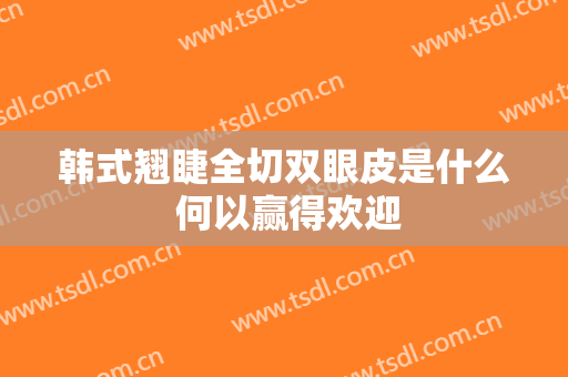 韩式翘睫全切双眼皮是什么 何以赢得欢迎