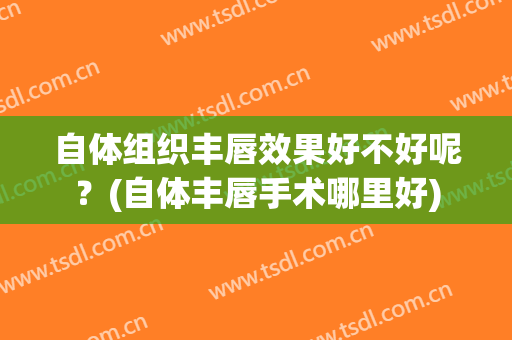 自体组织丰唇效果好不好呢？(自体丰唇手术哪里好)