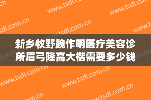 新乡牧野魏作明医疗美容诊所眉弓隆高大楷需要多少钱?有哪些优势?(新乡魏作明整形正规么)