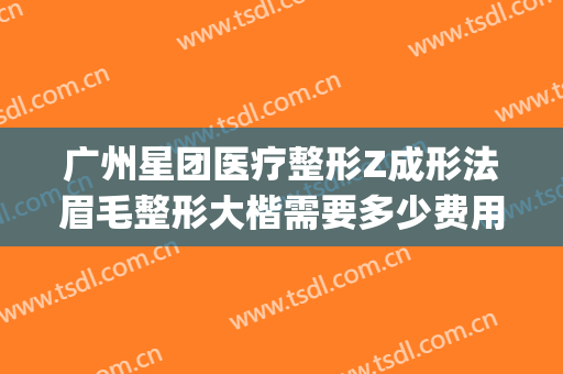 广州星团医疗整形Z成形法眉毛整形大楷需要多少费用?好不好?(广州星团医美整形医院效果好吗)
