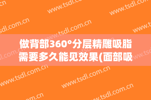 做背部360°分层精雕吸脂需要多久能见效果(面部吸脂要做多久)