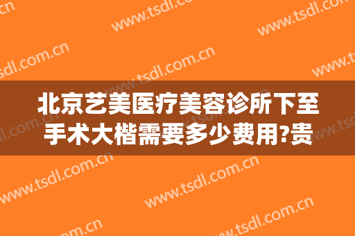 北京艺美医疗美容诊所下至手术大楷需要多少费用?贵不贵?(北京艺美医疗美容诊所怎么样)