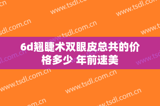 6d翘睫术双眼皮总共的价格多少 年前速美