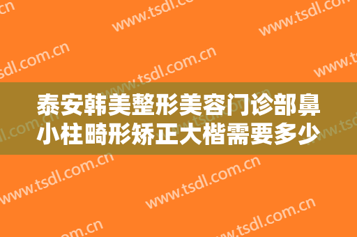 泰安韩美整形美容门诊部鼻小柱畸形矫正大楷需要多少费用?效果怎么样?