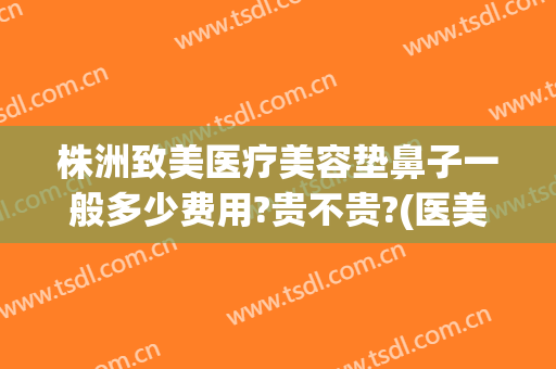 株洲致美医疗美容垫鼻子一般多少费用?贵不贵?(医美垫鼻子多少钱)